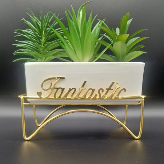 FANTASTIC SUCCULENT PLANTER IN POT