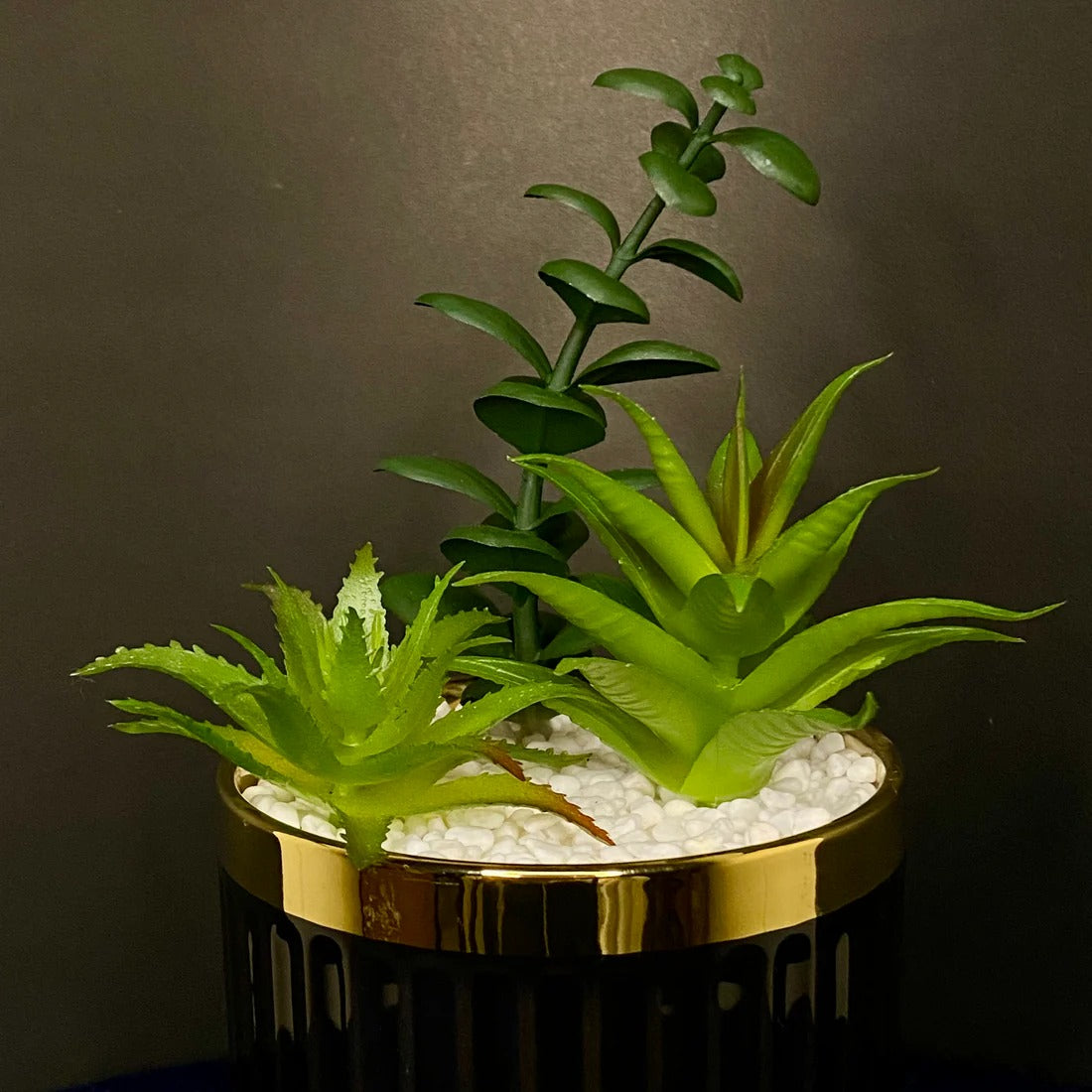BLACK TINGER PLANT WITH METALLIC STAND