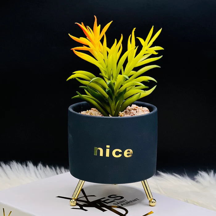 Tripod Stand Pot Planter