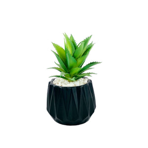 BLACK TEXTURE POT PLANTER