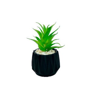 BLACK TEXTURE POT PLANTER