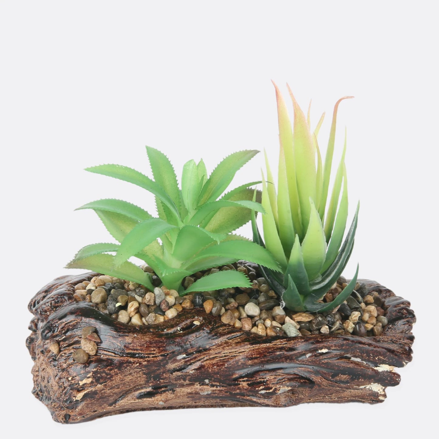 SUCCULENT PLANT WITH STONE BASE