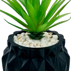 BLACK TEXTURE POT PLANTER