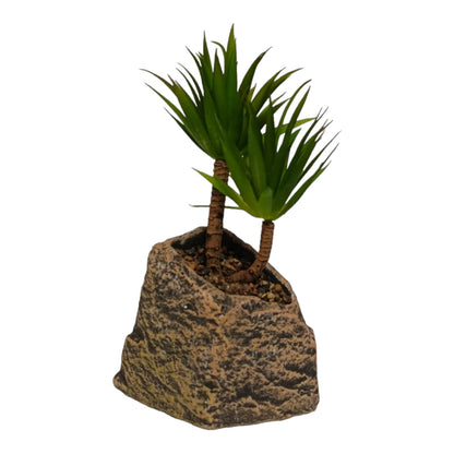 PALM SUCCULENT PLANT WITH STONE BASE