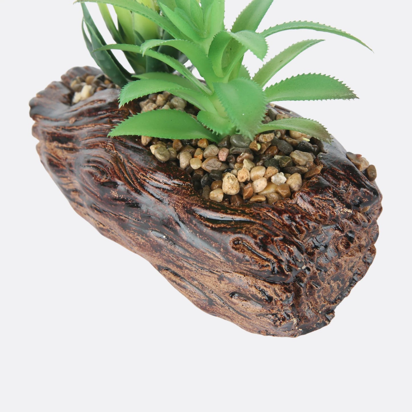 SUCCULENT PLANT WITH STONE BASE