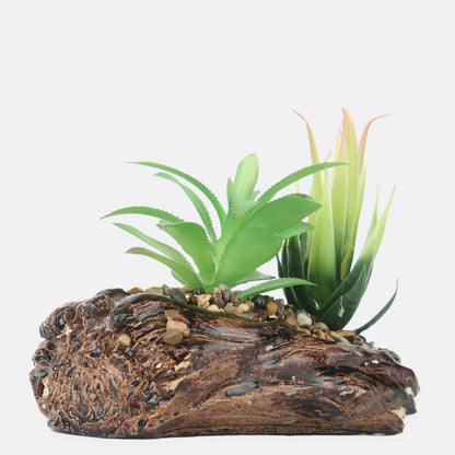 SUCCULENT PLANT WITH STONE BASE