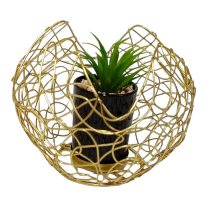 CAGE PLANTER IN POT