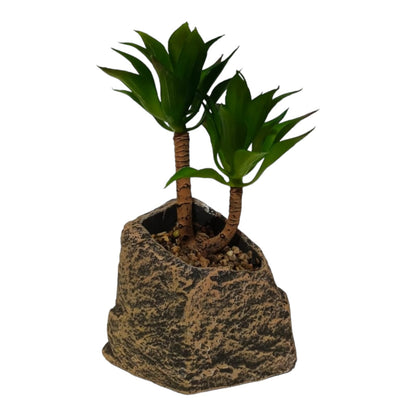 PALM SUCCULENT PLANT WITH STONE BASE