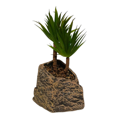 PALM SUCCULENT PLANT WITH STONE BASE