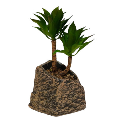 PALM SUCCULENT PLANT WITH STONE BASE