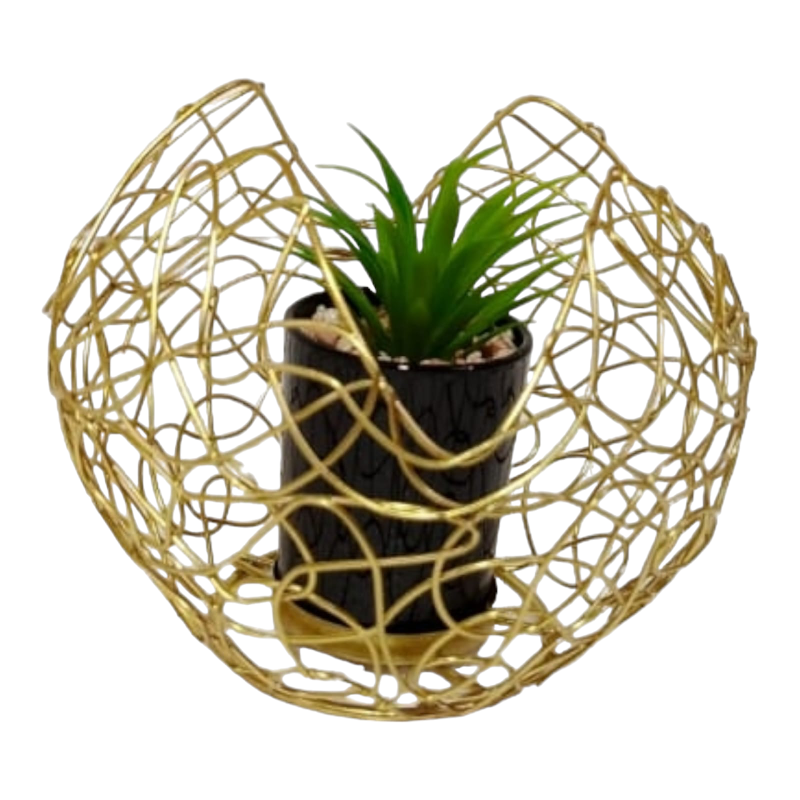 CAGE PLANTER IN POT