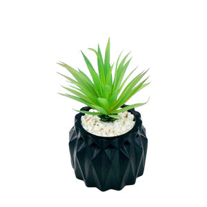 BLACK TEXTURE POT PLANTER